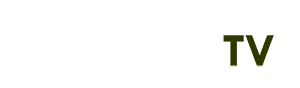 Bitis Hà Nội - mlb scores